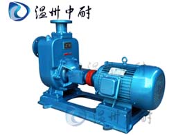 臥式無堵塞自吸泵ZW型