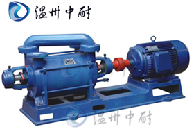 2SK型兩級水環式真空泵