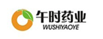 湖北午時藥業股份有限公司